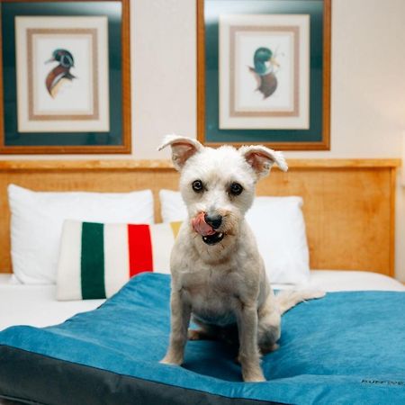 Timbers Motel Bigfork Ngoại thất bức ảnh